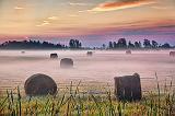 Bales In Misty Field At Sunrise_25822